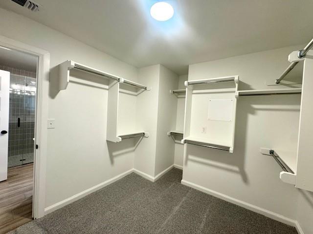 Building Photo - 3121 Mt Nebo Dr