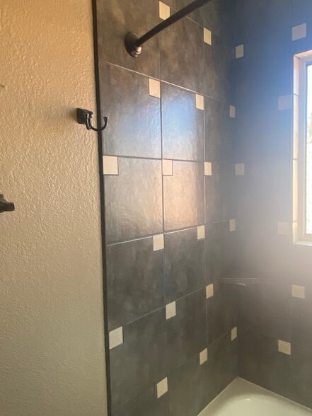 Hall Bath - 1317 Olvera way