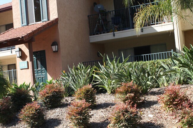 Primary Photo - 1 Bed/1Bath Condo in Carlsbad!! ~Hosp Way ...
