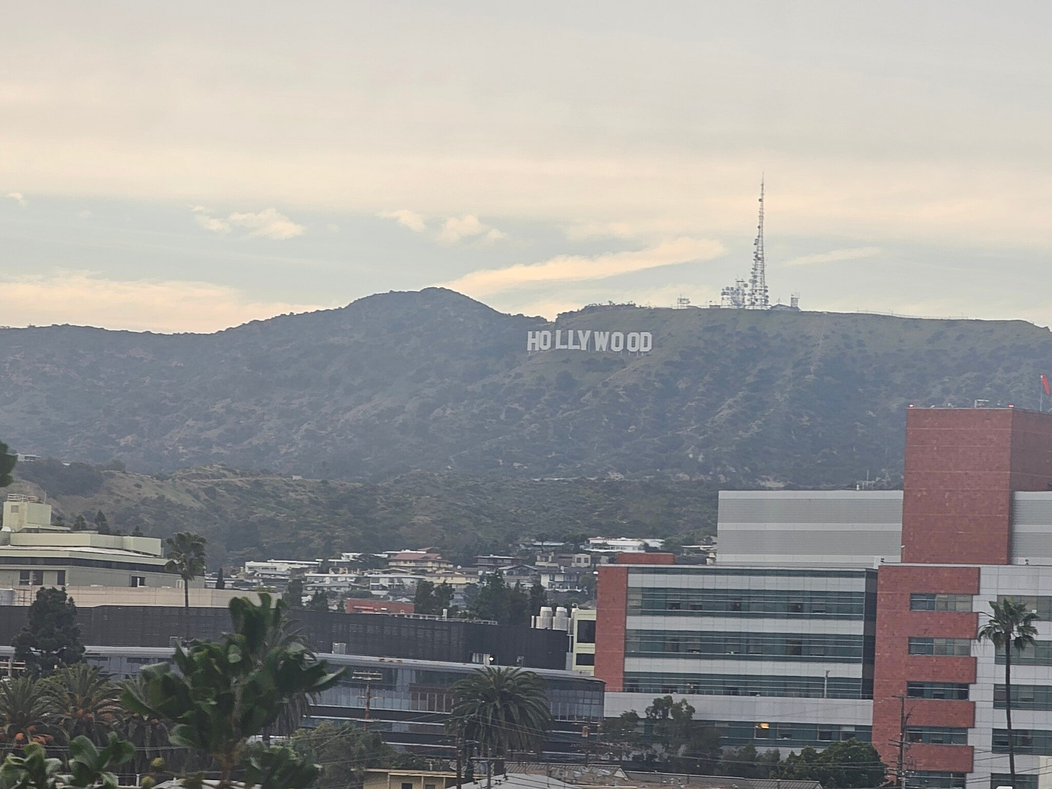 Building Photo - 957 Manzanita St