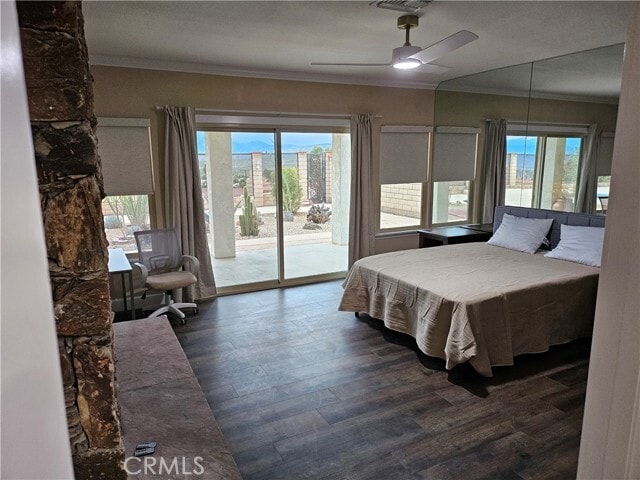 Building Photo - 66823 Verbena Dr