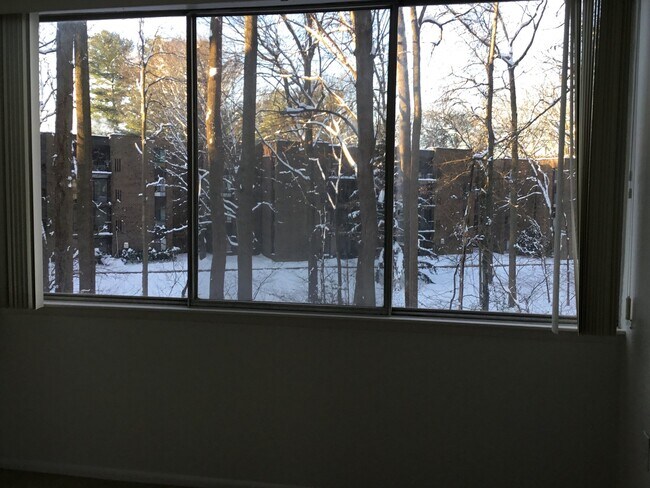 Building Photo - 4410 Briarwood Ct N