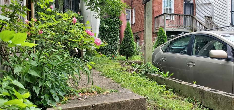 Back yard and parking spot - 4006 7th St NW