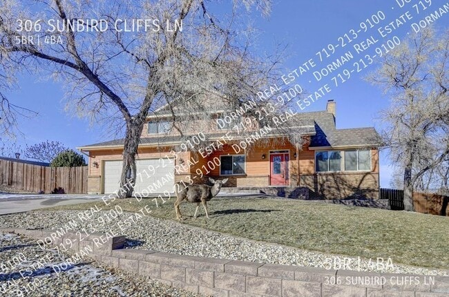 Building Photo - 306 Sunbird Cliffs Ln