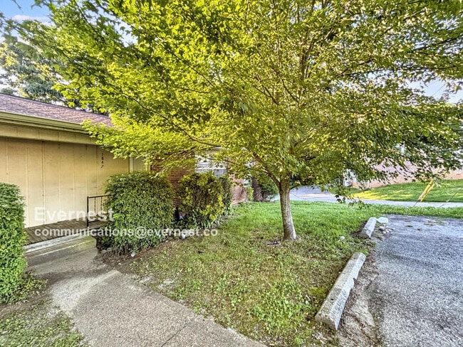 Primary Photo - 1847 Dana Ln
