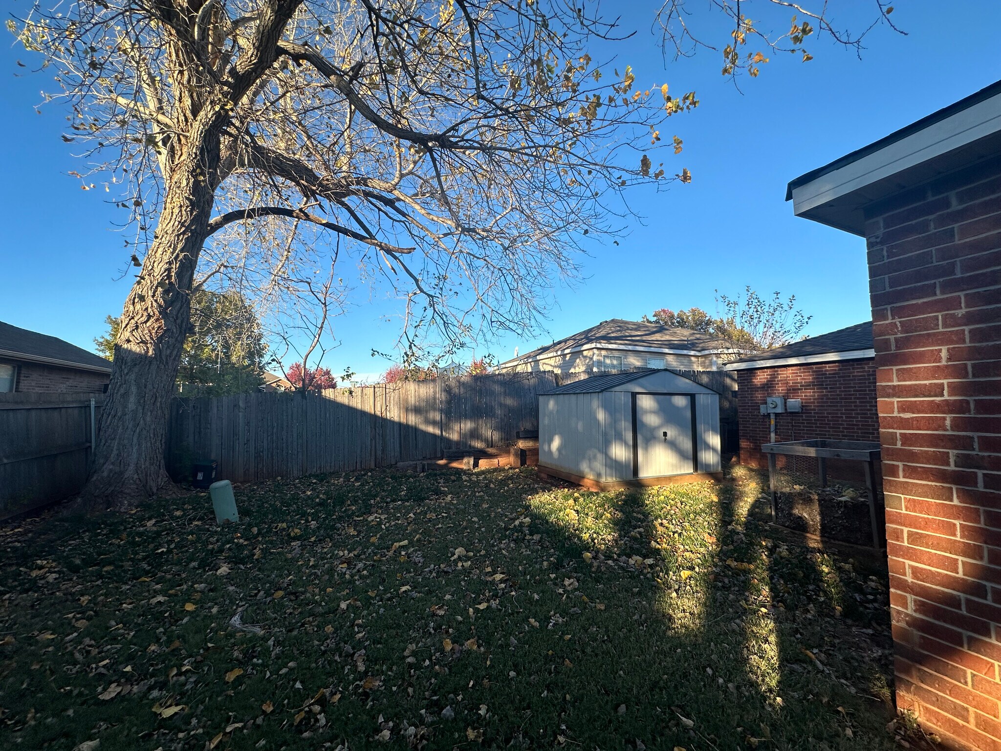 Backyard and shed - 1004 Shadowlake Rd