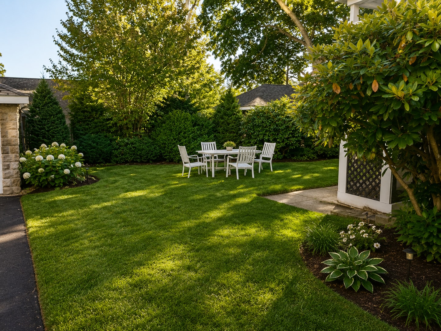 Yard - 25 Undine Rd