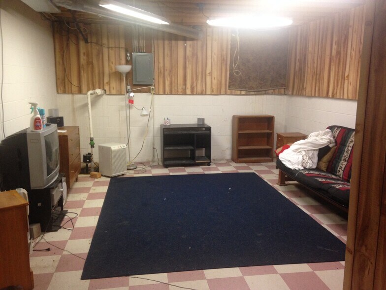 basement - 339 Willowbrooke Dr