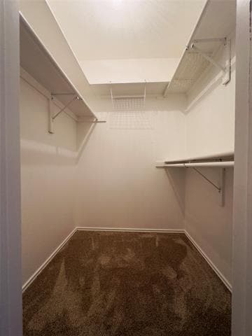 Building Photo - 3929 St Christopher Ln