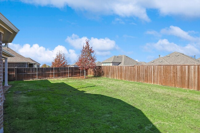 Backyard - 1329 Millican Ln