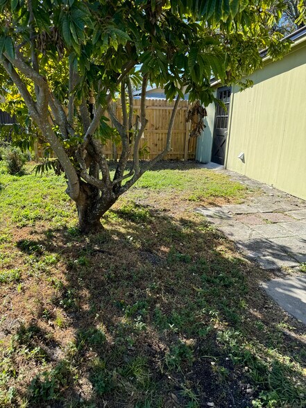 backyard - 2221 Corrine St