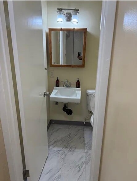 Downstairs 1/2 Bathroom - 1456 Hopkins St