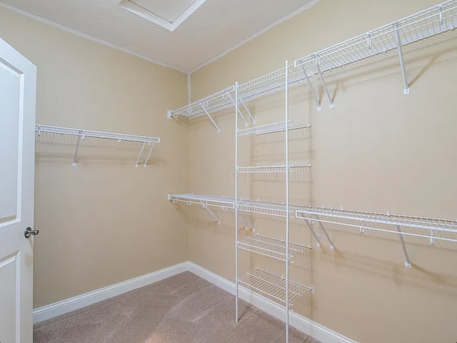 master closet - 4223 Tuller Ridge Dr