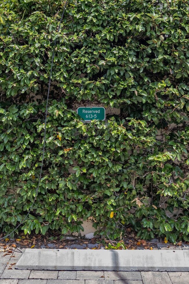 Building Photo - Charming Downtown Orlando 1/1 Corner Condo Near Lake Eola!