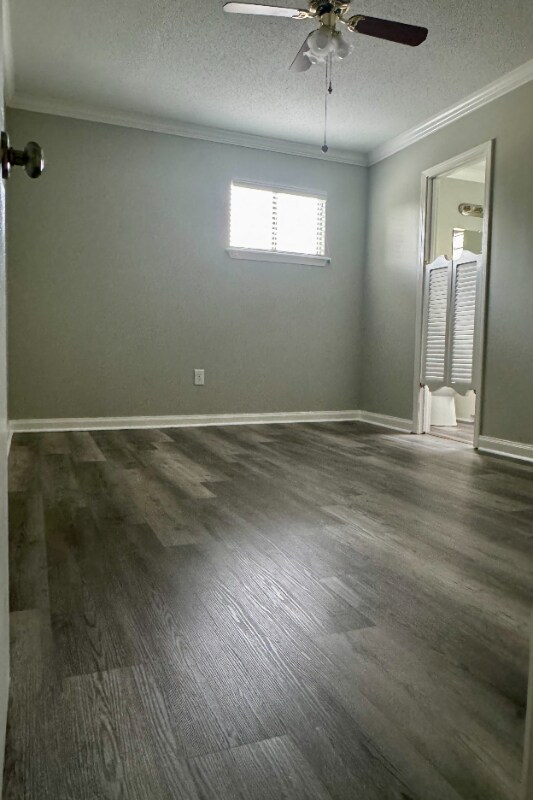 Building Photo - 305 Halcott Dr