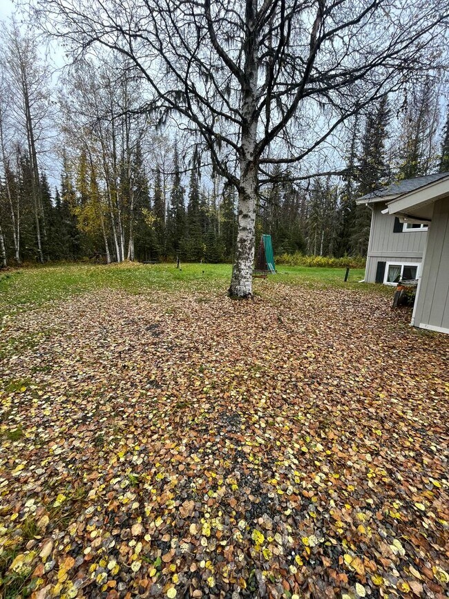 Building Photo - FURNISHED KENAI APARTMENT