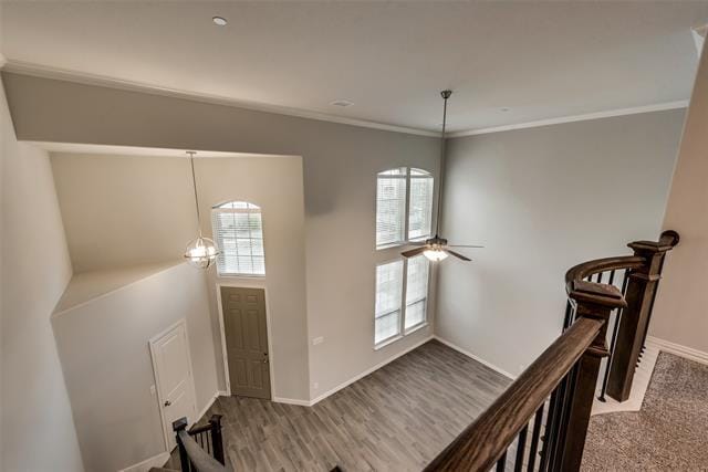Building Photo - 1524 Joy Dr
