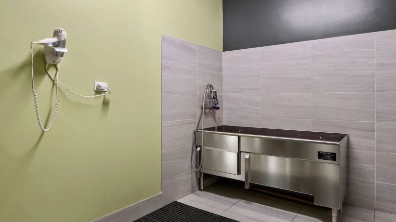 Building Photo - 3768 N Halsted St