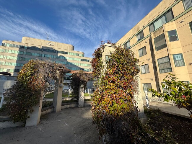 Building Photo - Well-Lit 1 Bedroom, 1 Bathroom Condo in Oa...