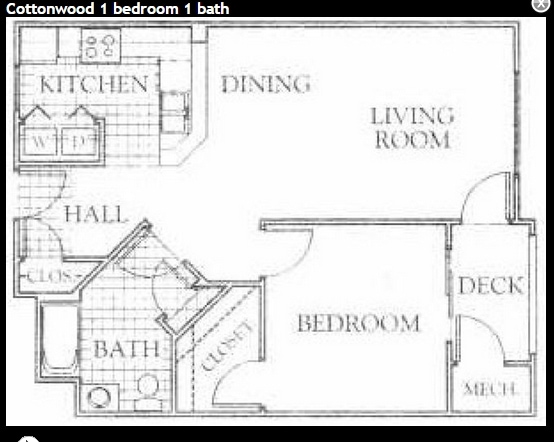 Cottonwood - Creekside at Norwood