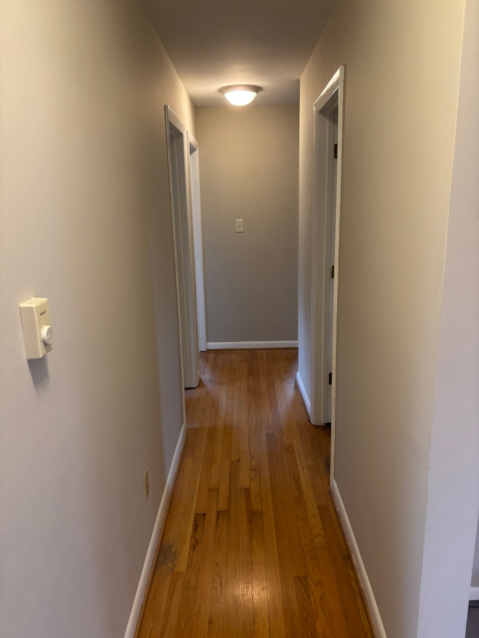 Building Photo - 142 Tammy Ln