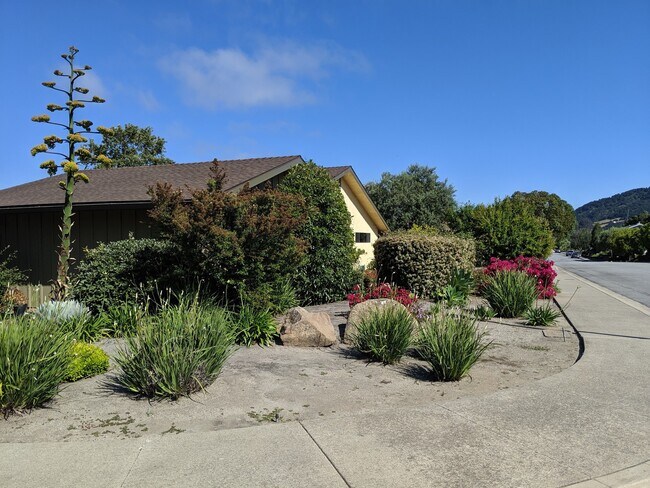 Building Photo - 203 Patricia Ct