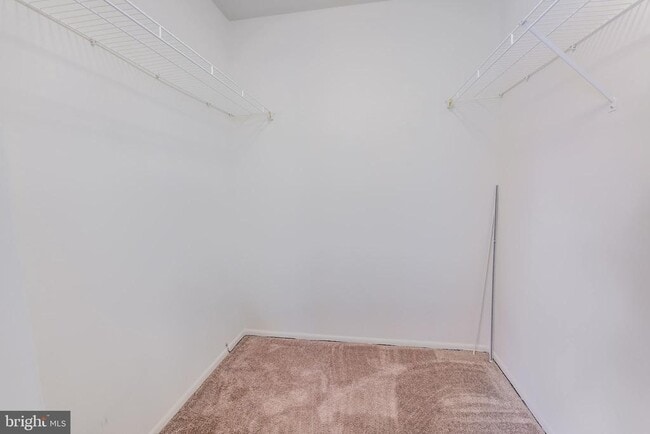 Building Photo - 1712 Abercromby Ct
