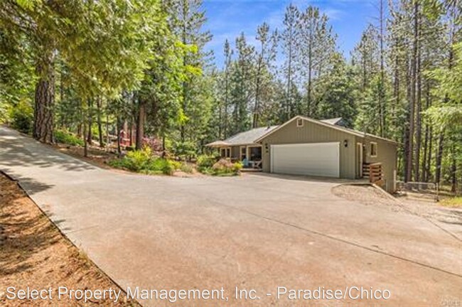 Building Photo - 3 br, 2 bath House - 4702 Hartley Drive