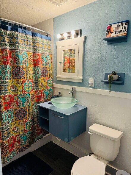 Bathroom - 315 W Halliday St