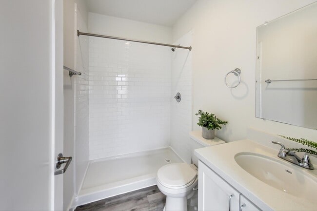 Floorplan - The Rose on Bond