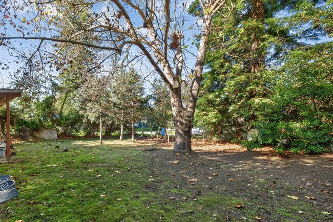 Building Photo - Charming 3-Bed / 2-Bath Retreat on Over an Acre in Sebastopol