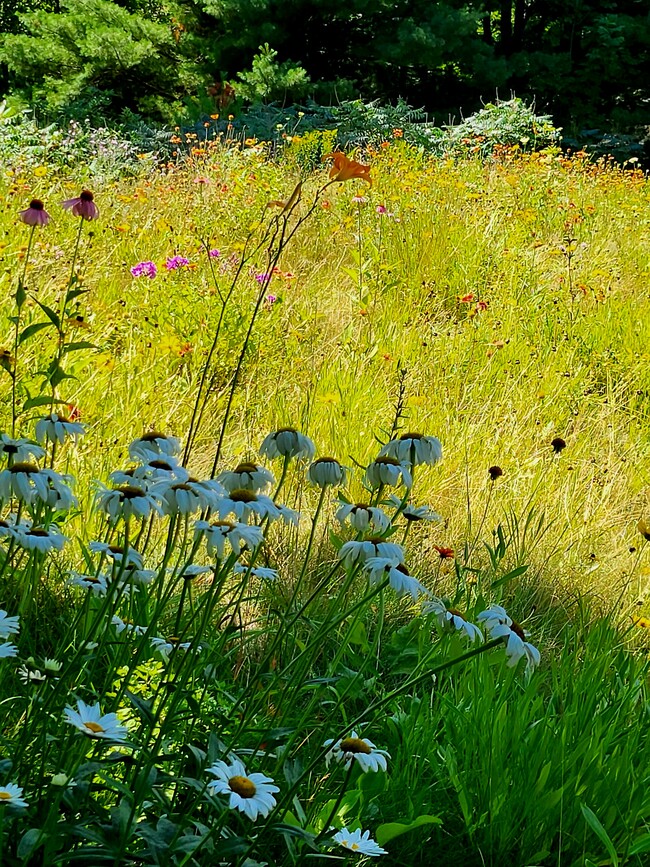 Eastern Slope in Fall - 433 E Sleights Rd