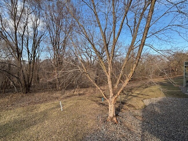 Building Photo - X-LARGE 1 BR/1 BA Condo Available 5/1 in a Beautiful St. Paul Neighborhood!