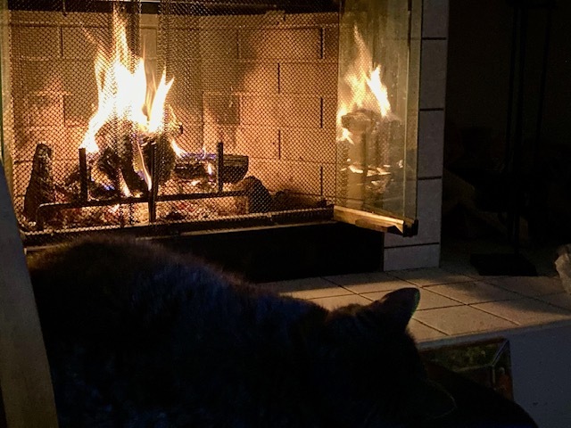 Fireplace in Living Room - 5958 Gunbarrel Ave