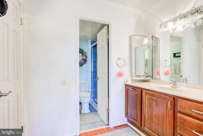 Building Photo - 307 Yoakum Pkwy