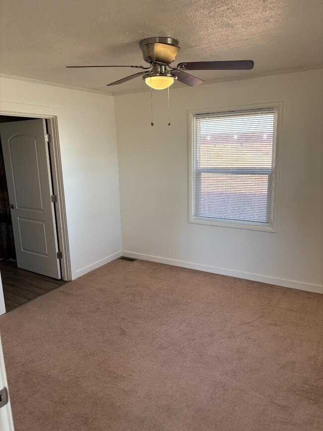 Primary Photo - 411 Opal St