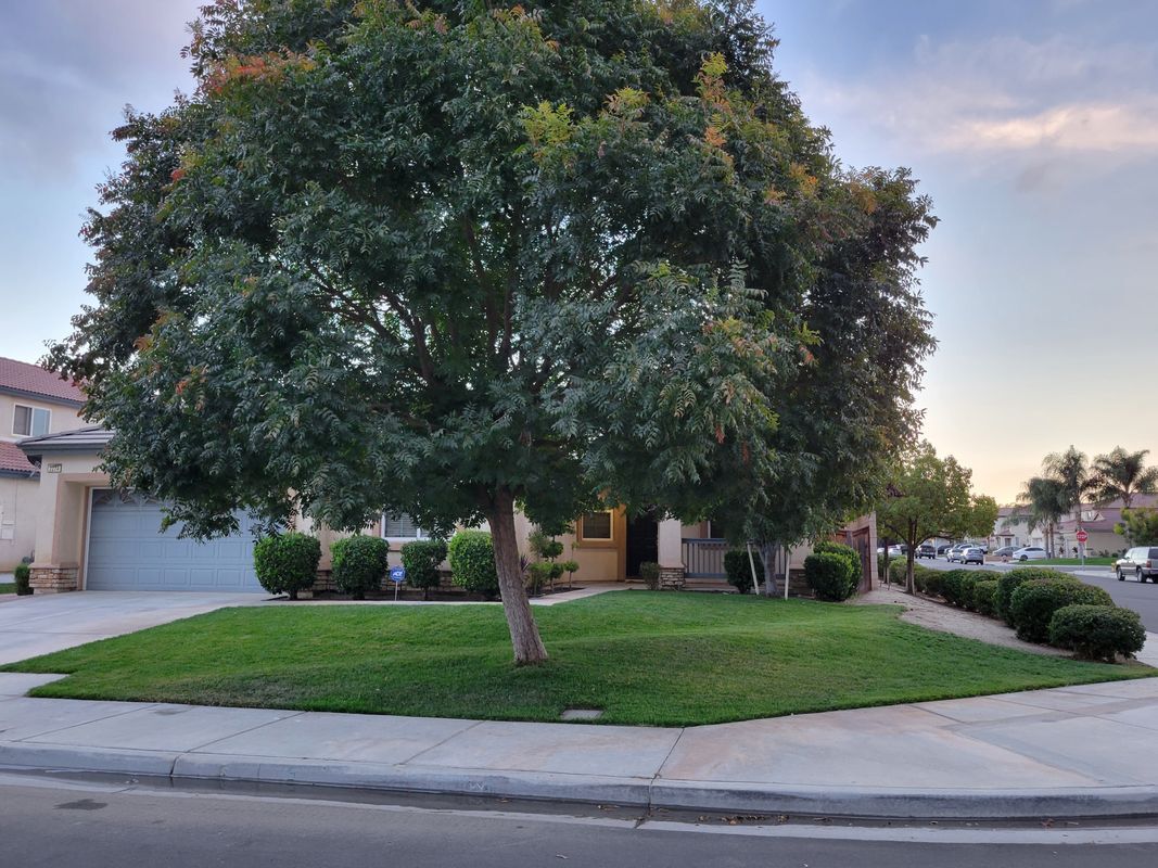 Building Photo - 2274 Purple Finch Ct