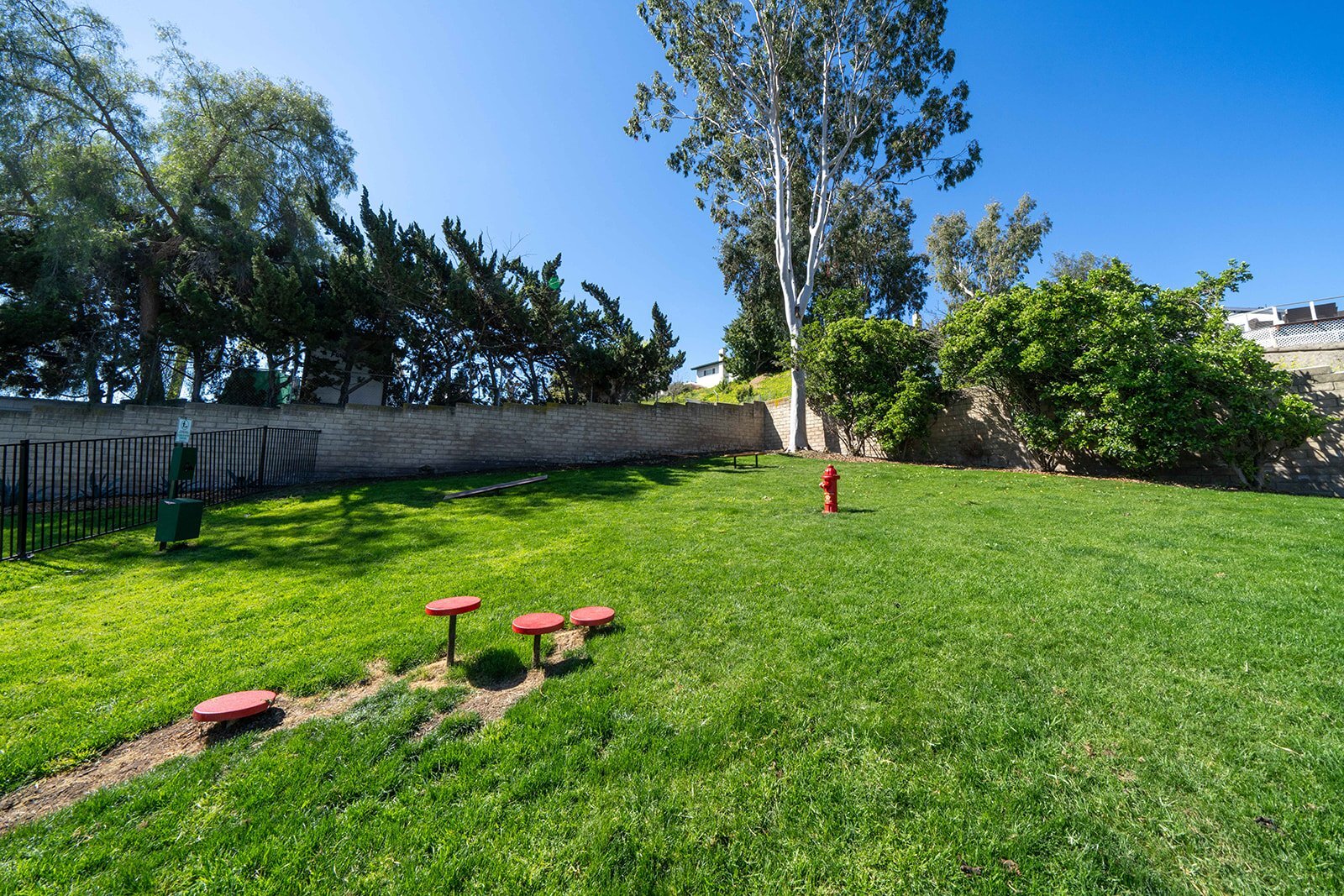 Building Photo - 251 Weston Cir
