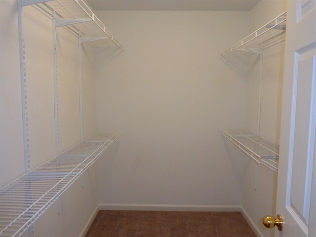 Building Photo - 263 Silver Brook Cir
