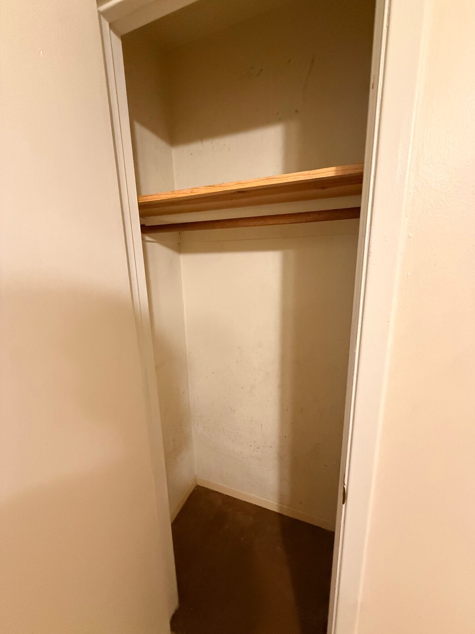 Building Photo - 508 E Euclid Ave