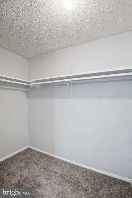 Building Photo - 4626 Brentleigh Ct