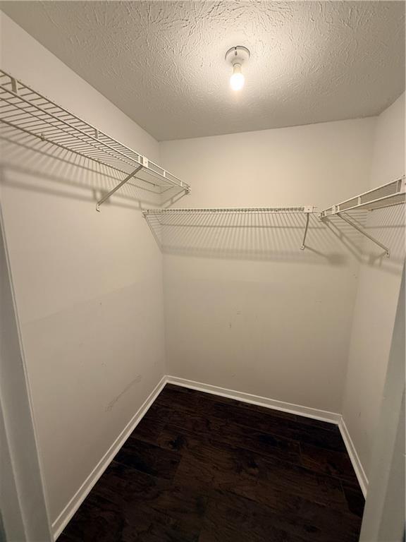 Building Photo - 423 Warm Springs Cir