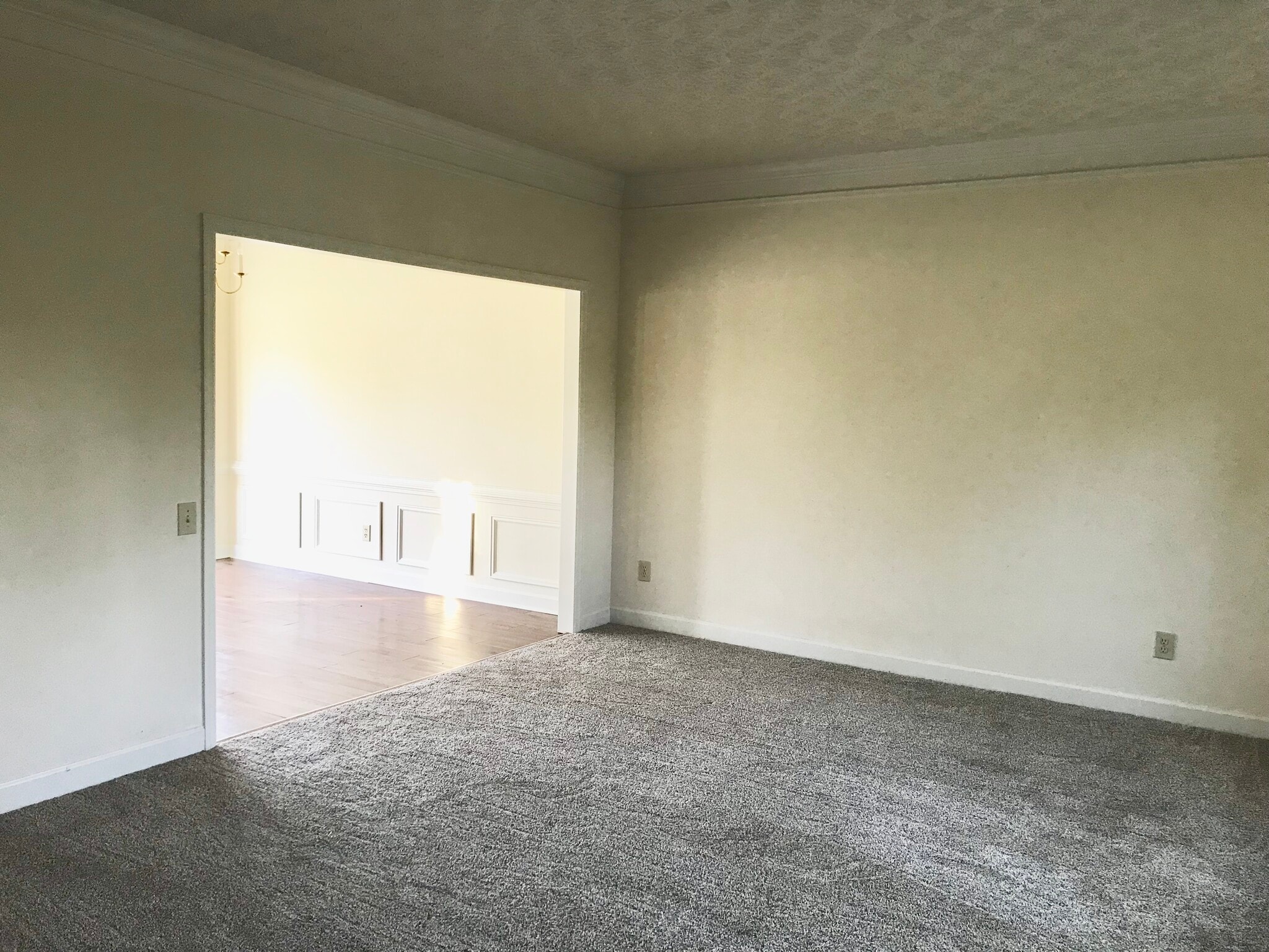 Newer carpet in whole first floor. - 2794 Craig Ct