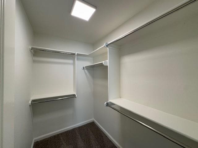 Building Photo - 3117 Gunnison River Dr