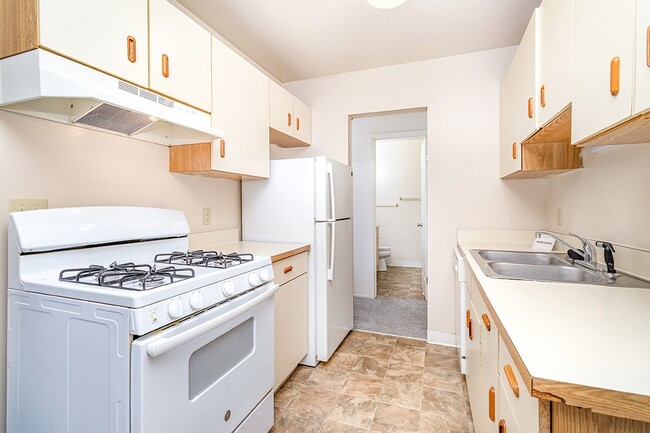 Building Photo - Mount Royal Townhomes