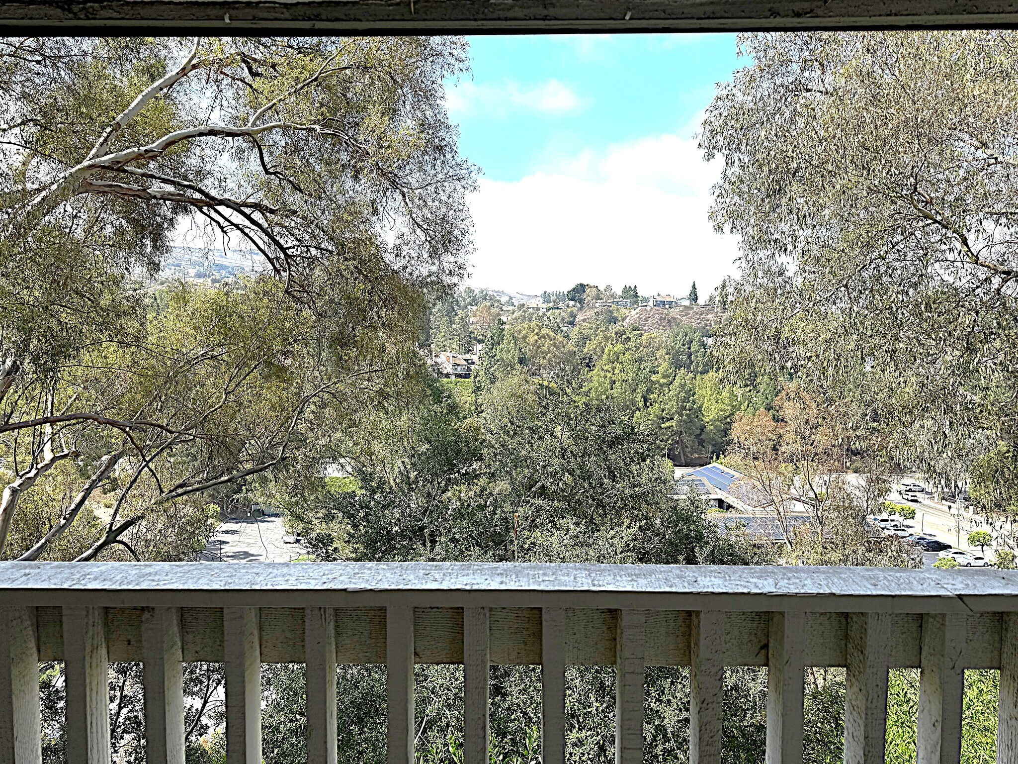 City lights view from balcony - 545 S Ranch View Cir