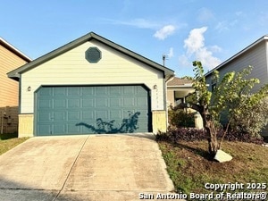 Primary Photo - 24230 Saffron Plum