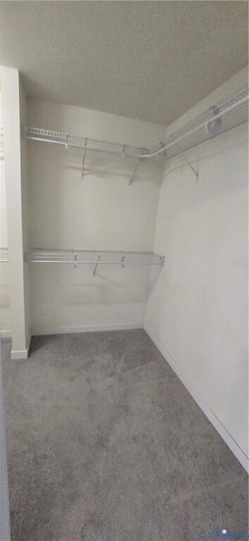 Building Photo - 11347 Abbots Cross Ln