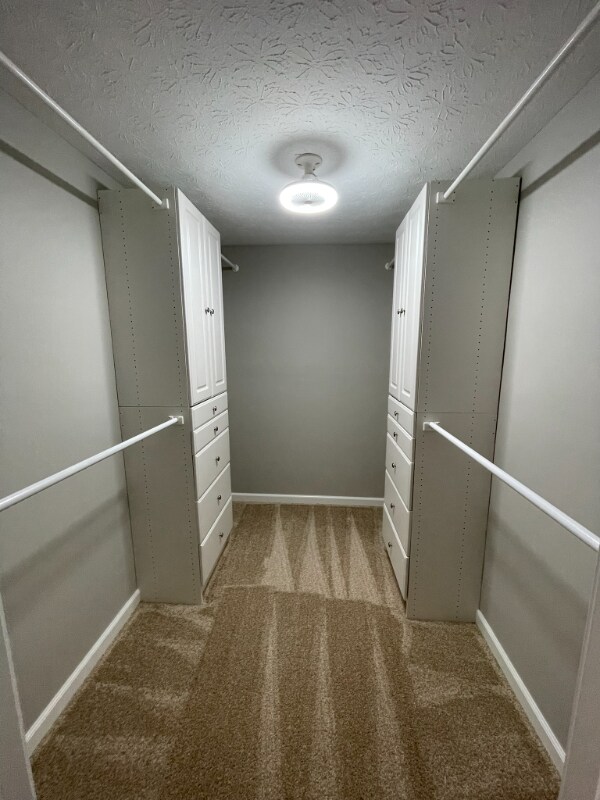 Building Photo - 3211 Creston Ct