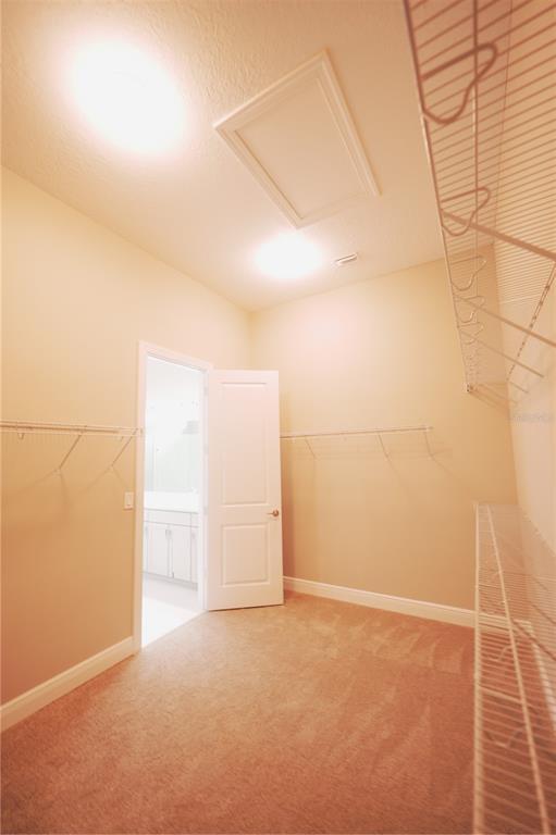 Building Photo - 9124 Bernini Pl